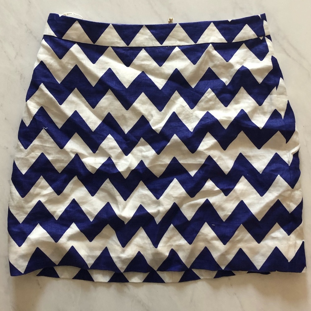 Kate Spade Chevron Skirt